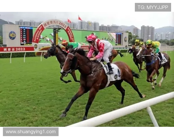 如何在HKJC香港赛马主页上进行高效投注与分析技巧 如何在HKJC香港赛马主页上进行高效投注与分析技巧